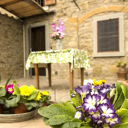 Cozy And Peaceful House Near Cortona